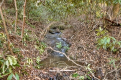 lot-56a-cherry-lake-29