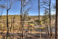 lot-56a-cherry-lake-5