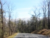 tick-road-2
